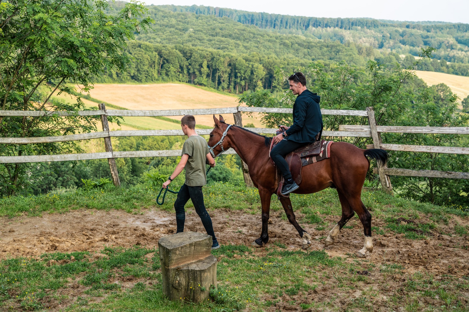 Horses welcome 001